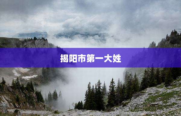 揭阳市第一大姓