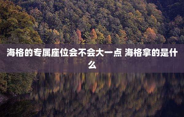 海格的专属座位会不会大一点 海格拿的是什么