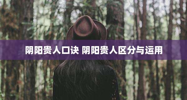 阴阳贵人口诀 阴阳贵人区分与运用