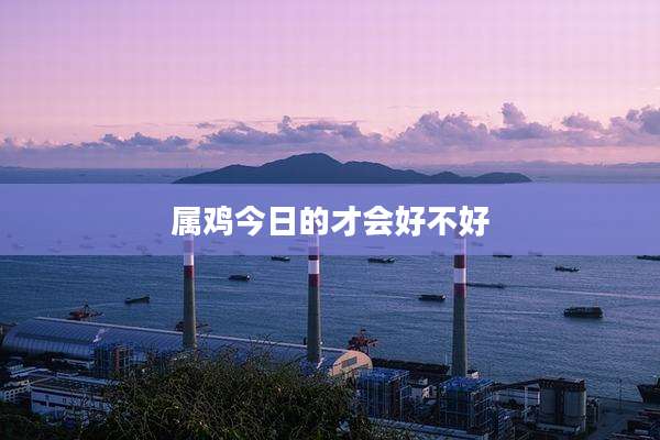 属鸡今日的才会好不好