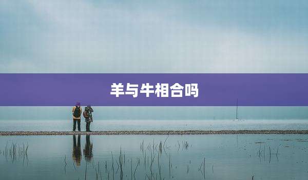 羊与牛相合吗