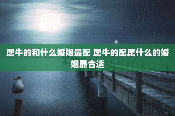 属牛的和什么婚姻最配 属牛的配属什么的婚姻最合适