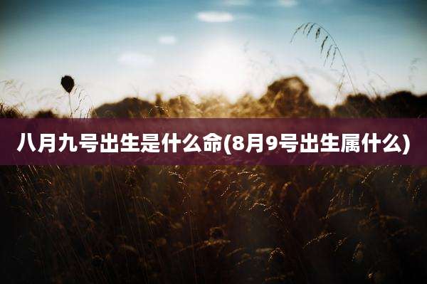 八月九号出生是什么命(8月9号出生属什么)