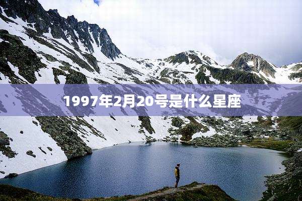 1997年2月20号是什么星座