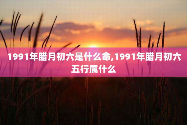 1991年腊月初六是什么命,1991年腊月初六五行属什么