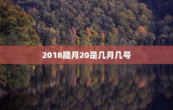 2018腊月20是几月几号