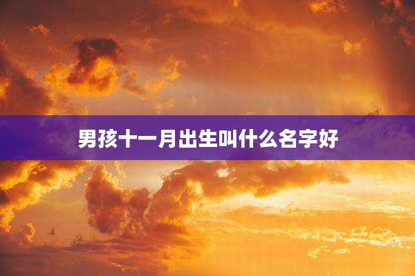 男孩十一月出生叫什么名字好