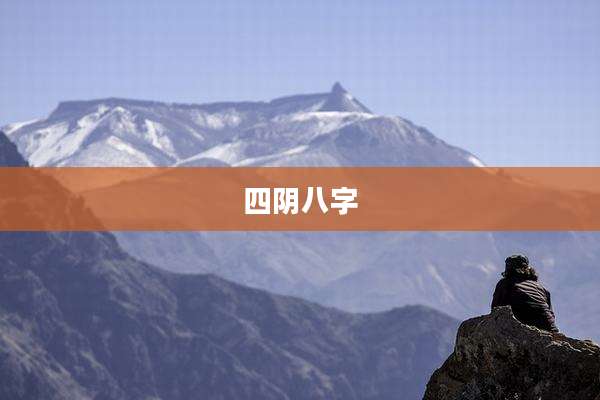 四阴八字