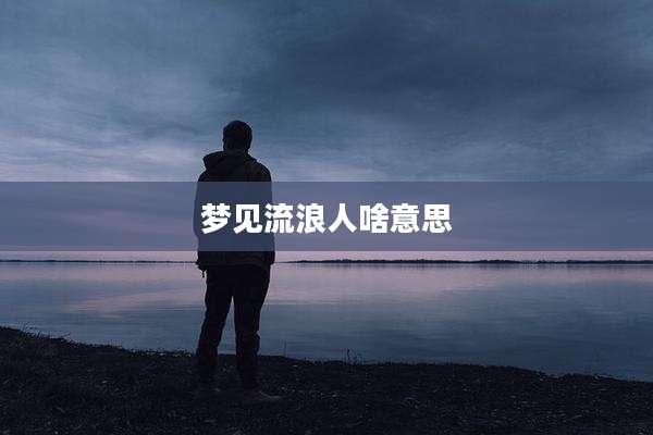梦见流浪人啥意思