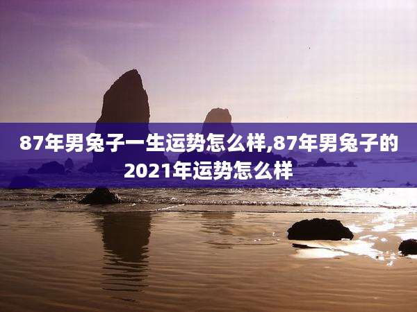 87年男兔子一生运势怎么样,87年男兔子的2021年运势怎么样