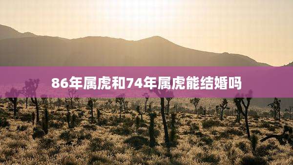 86年属虎和74年属虎能结婚吗