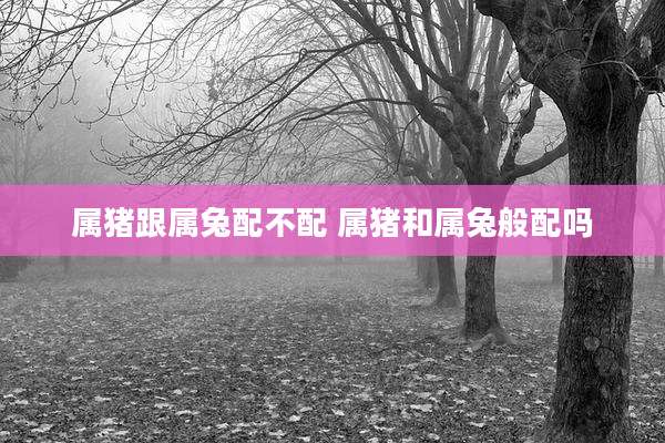 属猪跟属兔配不配 属猪和属兔般配吗