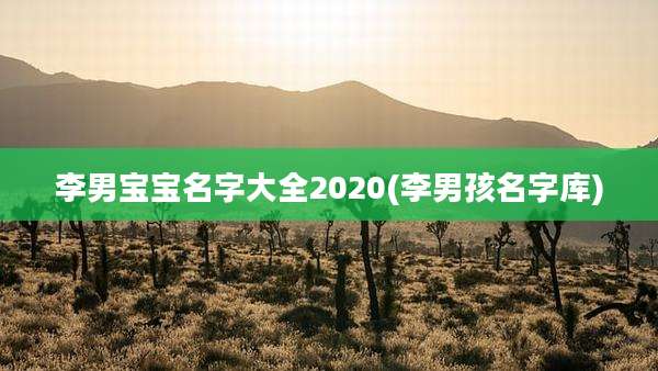 李男宝宝名字大全2020(李男孩名字库)