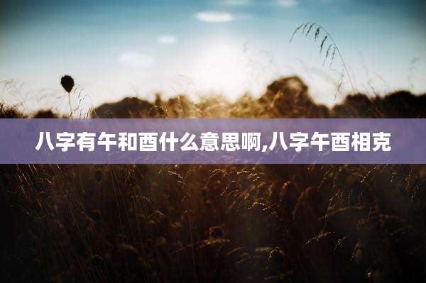 八字有午和酉什么意思啊,八字午酉相克