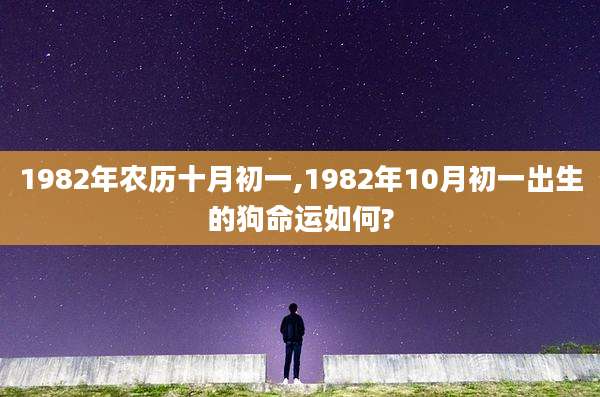 1982年农历十月初一,1982年10月初一出生的狗命运如何?