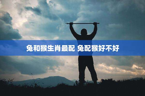 兔和猴生肖最配 兔配猴好不好