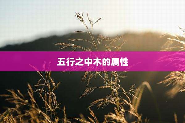 五行之中木的属性
