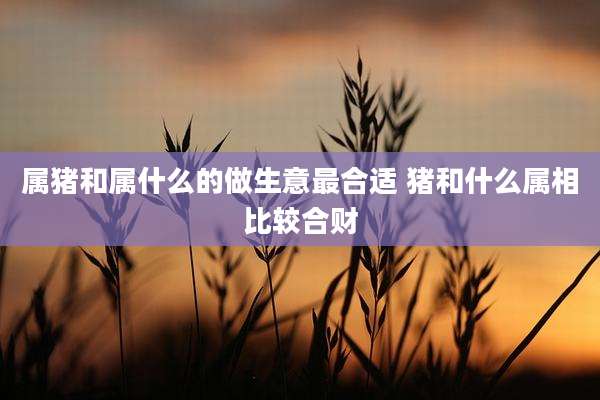属猪和属什么的做生意最合适 猪和什么属相比较合财