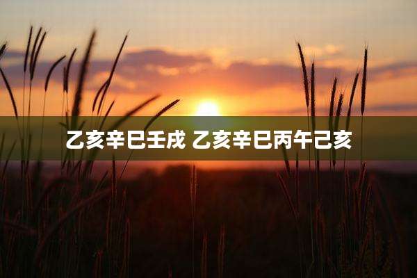 乙亥辛巳壬戌 乙亥辛巳丙午己亥