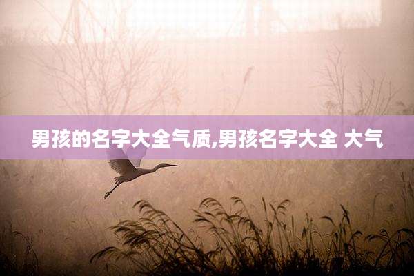 男孩的名字大全气质,男孩名字大全 大气