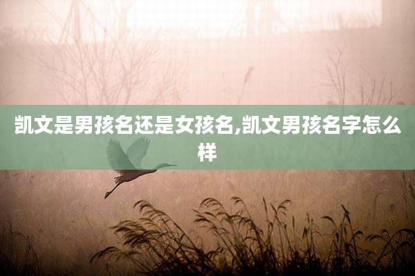 凯文是男孩名还是女孩名,凯文男孩名字怎么样