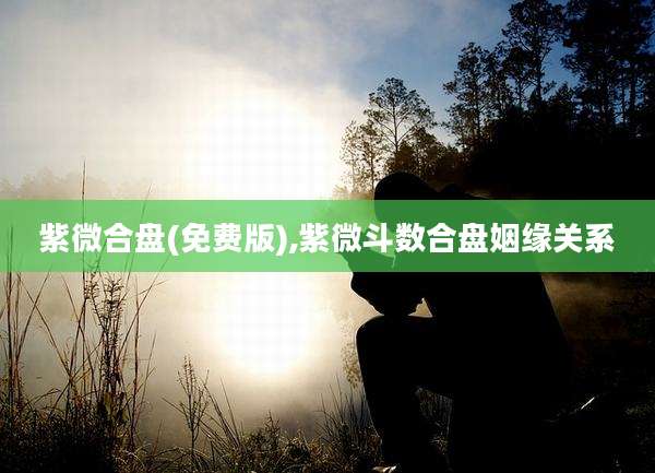 紫微合盘(免费版),紫微斗数合盘姻缘关系