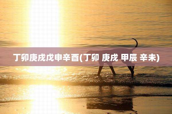 丁卯庚戌戊申辛酉(丁卯 庚戌 甲辰 辛未)