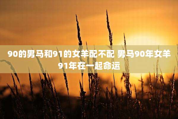90的男马和91的女羊配不配 男马90年女羊91年在一起命运