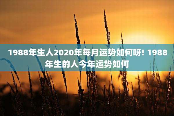1988年生人2020年每月运势如何呀! 1988年生的人今年运势如何