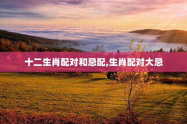 十二生肖配对和忌配,生肖配对大忌