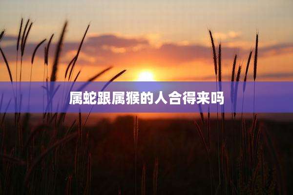 属蛇跟属猴的人合得来吗