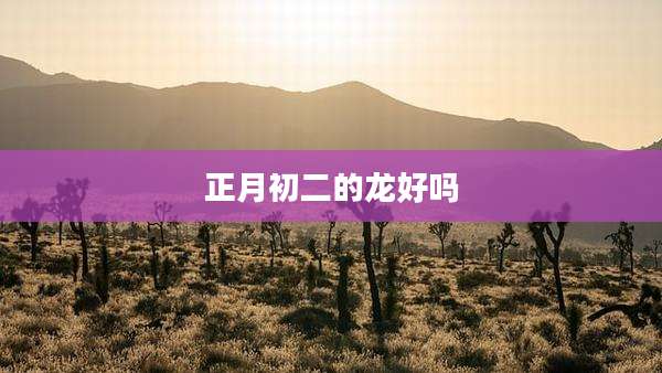 正月初二的龙好吗
