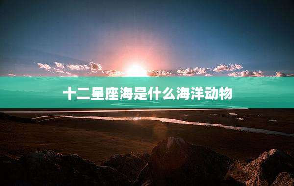 十二星座海是什么海洋动物