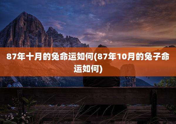 87年十月的兔命运如何(87年10月的兔子命运如何)