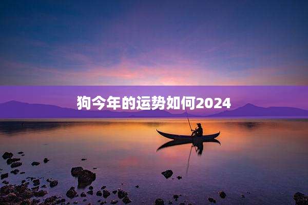 狗今年的运势如何2024