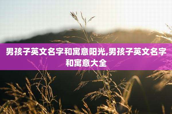 男孩子英文名字和寓意阳光,男孩子英文名字和寓意大全