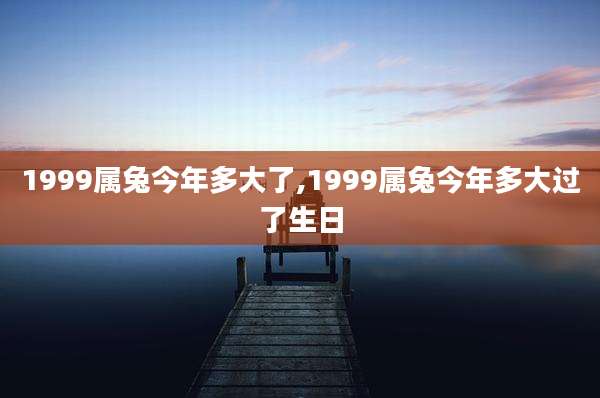 1999属兔今年多大了,1999属兔今年多大过了生日