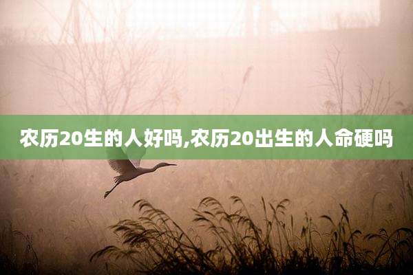 农历20生的人好吗,农历20出生的人命硬吗