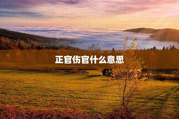 正官伤官什么意思