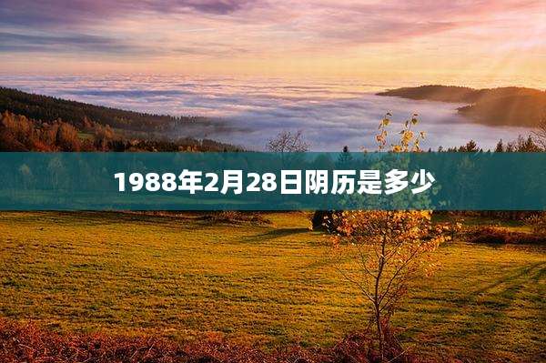 1988年2月28日阴历是多少