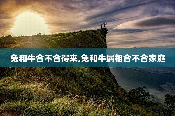 兔和牛合不合得来,兔和牛属相合不合家庭