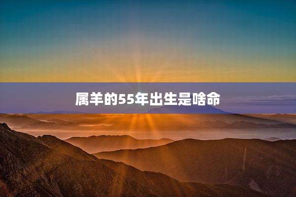 属羊的55年出生是啥命