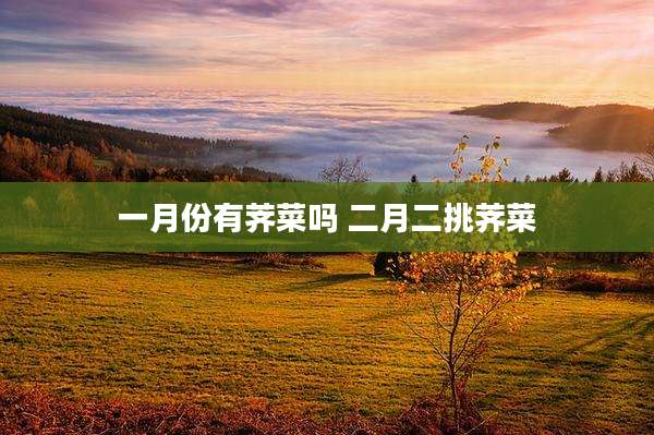 一月份有荠菜吗 二月二挑荠菜