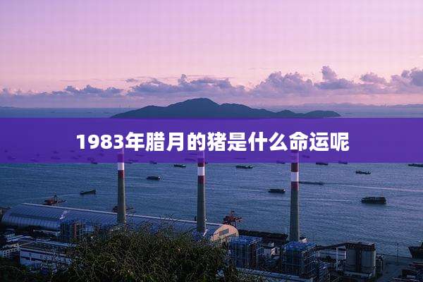 1983年腊月的猪是什么命运呢