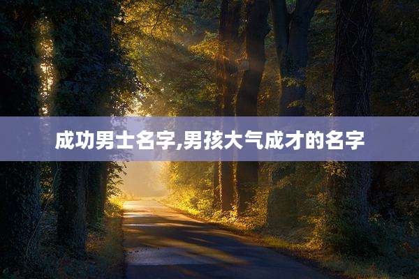 成功男士名字,男孩大气成才的名字