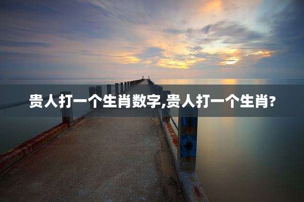 贵人打一个生肖数字,贵人打一个生肖?