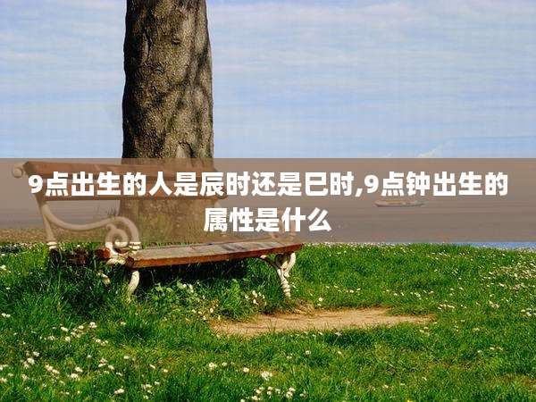9点出生的人是辰时还是巳时,9点钟出生的属性是什么