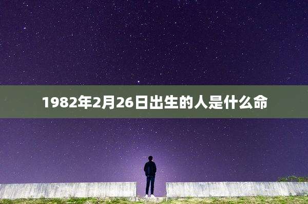 1982年2月26日出生的人是什么命