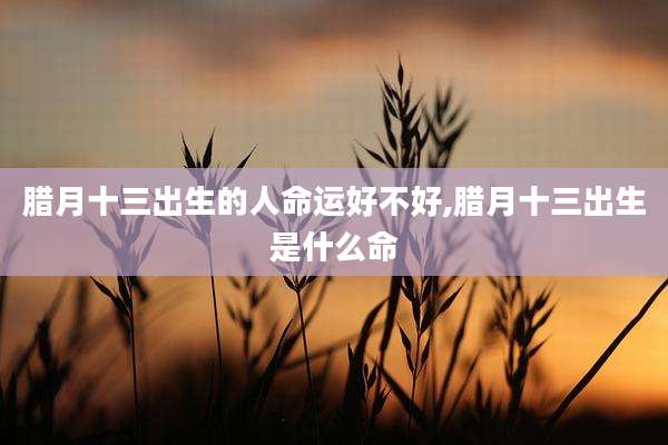 腊月十三出生的人命运好不好,腊月十三出生是什么命