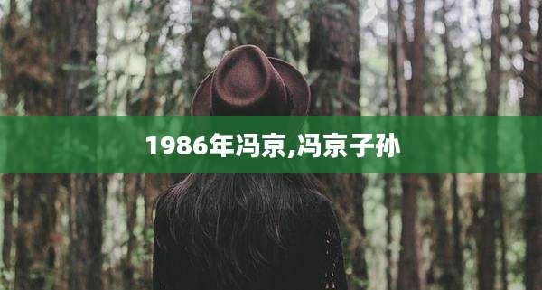 1986年冯京,冯京子孙